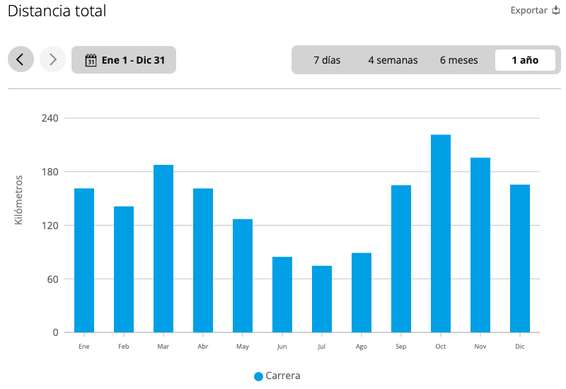 Garmin 2025 Running Statistics